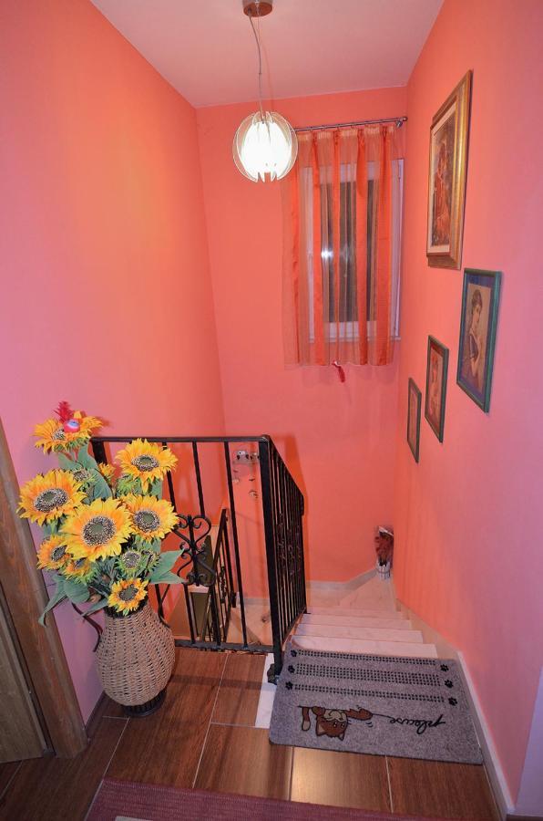 House Tihana Donje Selo na Solti ภายนอก รูปภาพ